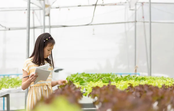 Asian Cute Girl Learning Grow Organic Vegetables Farm — Stock Photo, Image