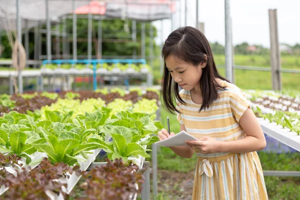 Asian Cute Girl Learning Grow Hydroponics Vegetables Farm — Stock Photo, Image