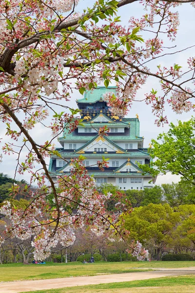 大阪城の桜 日本でビュー春の美しいシーン — ストック写真