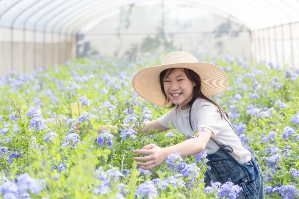Happy Asian Little Girl Flowers Garden Cape Leadwort Flower Very — Stock Photo, Image