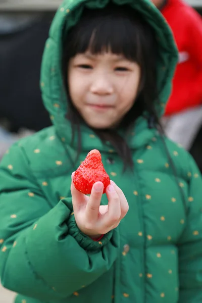 Ázsiai Kislány Boldog Eper Ízű Friss Eper Farm Korea Utazás — Stock Fotó