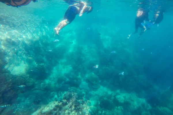 Toeristische slijtage zwemvest, genieten van snorkelen in de zee, toeristische en vis groep in de zee, zomer strand vakantie op Koh Chang, Trat, Thailand — Stockfoto
