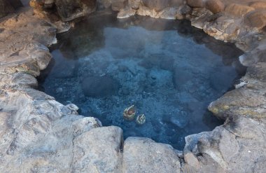 Kaplıca, Chaeson Milli Parkı, Lampang, Tayland yumurta kaynatın 