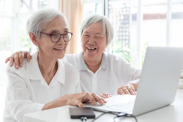 Feliz dois sênior mulher asiática, irmãs ou amigos conversando e gostando de usar computador portátil juntos em casa, sorrindo idosos e sua amizade segurando uns aos outros, tecnologia e conceito de amigo — Fotografia de Stock