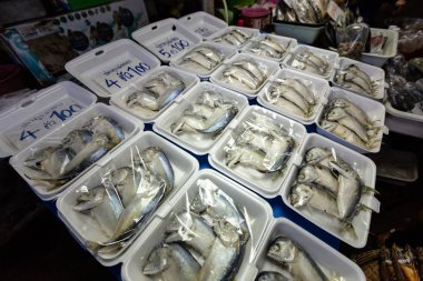 Samut Songkhram,Tayland-13 Mayıs 2019:Tay uskumru balığı,Rom Hup pazarında Mae Klong akarsu uskumru satışı veya Mae Klong Demiryolu,Tren pazarı,popüler tayland yemekleri,Samut Songkhram,Tayland seyahat