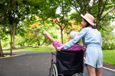 Küçük çocuk kız tekerlekli sandalye Asya kıdemli kadın yürüyüş yeşil doğa, Büyükanne ve torununun zevk, yaz açık park, yaşlı bakım, aile konsepti ilginç bir şey izlerken Engelli Büyükbaba destekleyen