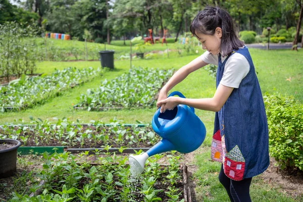 Happy asian little girl watering plants with watering can in organic garden,activities,help parents to grow vegetables in summer,working and gardening in outdoor,cute girl cares vegetables,agriculture concept — Stock Photo, Image