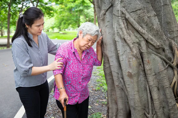 Asiatiska Senior mor har högt blodtryck, svindel; yrsel; sjuk äldre kvinna huvudvärk smärta med Walker, svimningskänsla, dotter eller Vårdbiträde, hjälp, stöd i utomhuspark, sjukvårds koncept — Stockfoto