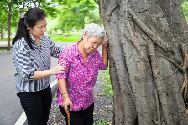 Asiatische Seniorin mit Bluthochdruck, Schwindel, Schwindel, kranke ältere Frau Kopfschmerzen mit Rollator, Ohnmacht, Tochter oder Pflegeassistentin, Hilfe, Unterstützung im Outdoor-Park, Gesundheitskonzept — Stockfoto