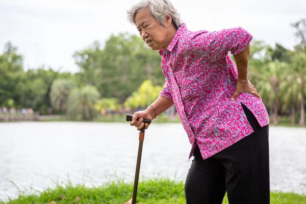 Asiatisk senior kvinna med höftledssmärta när du går i naturen på sommaren, kvinnlig patient som har ryggvärk, ryggmärta, ryggskott smärta, händer som rör vid höften i utomhusparken, äldre personer som lider av ribbsmärta eller midjesmärta, hälsoproblem — Stockfoto