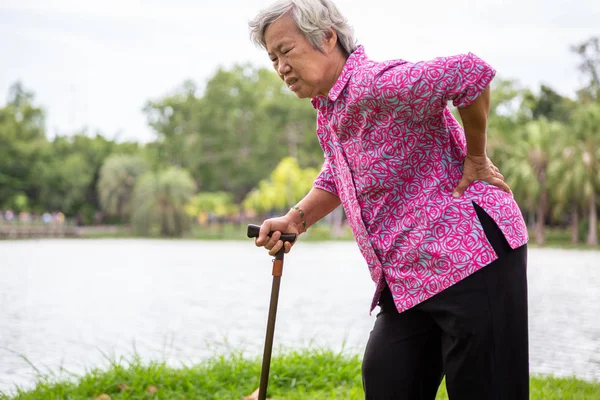 Aziatische senior vrouw met heupgewrichtspijn tijdens het wandelen in de natuur in de zomer, vrouwelijke patiënt met rugpijn, lumbale pijn, handen aanraken van de heup in outdoor park, ouderen die lijden aan ribbing pijn of taille pijn, gezondheidsproblemen — Stockfoto