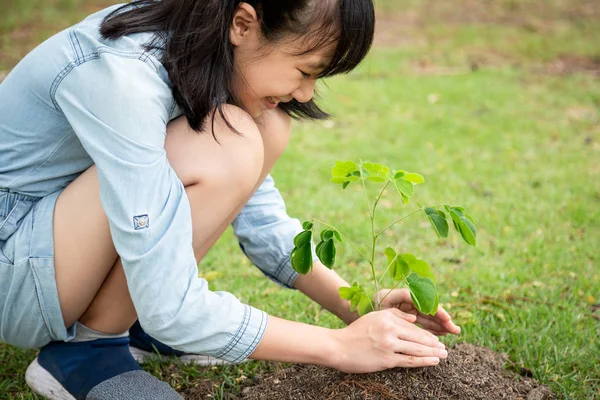 Closeup asian little child girl planting a tree in green nature,,mosquito bite,itching of skin diseases,person scratching arm with hand,allergy,rash in outdoor park,ringworm,tinea problem,atopic dermatitis,healthcare and medicine concept — Stock Photo, Image
