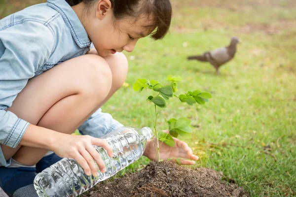 Closeup asian little child girl planting a tree in green nature,two hands holding and caring,seedlings or tree growing into soil,then watering the tree in outdoor park,love,world environment day,earth day,environment and ecology concept, — Stock Photo, Image