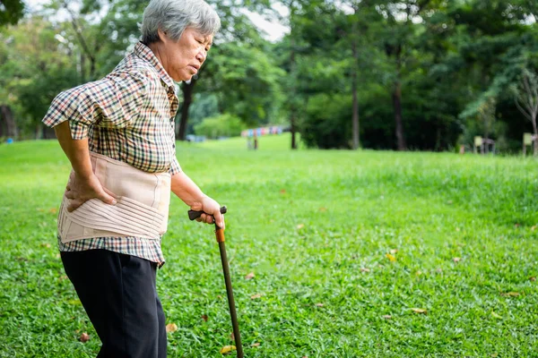 Asiatische Seniorin trägt Rückenstützgurt zum Schutz ihrer Rückenschmerzen, Muskelverletzungen, ältere Menschen mit Gehstock, Hand, die die Hüfte berührt, mit Hexenschuss Schmerzen, Rückenschmerzen, Schmerzen in der Taille, Gesundheitsprobleme Konzept — Stockfoto