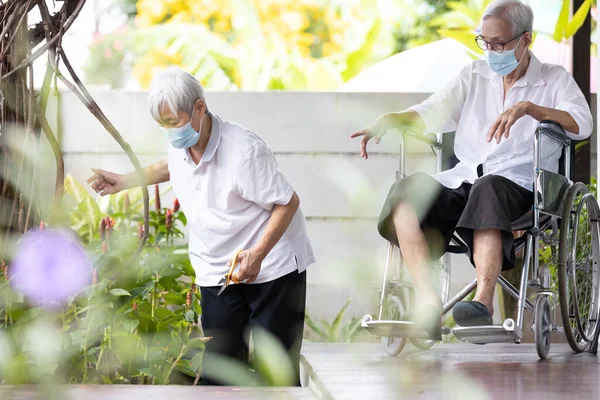Азиатские Женщины Старшего Возраста Пожилые Люди Занимаются Посадкой Деревьев Обрезкой — стоковое фото