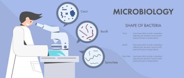 Bilim adamı ya da mikrobiyolog bakterileri mikroskop altında inceliyor. Mikrobiyoloji vektör illüstrasyonunu kavra.