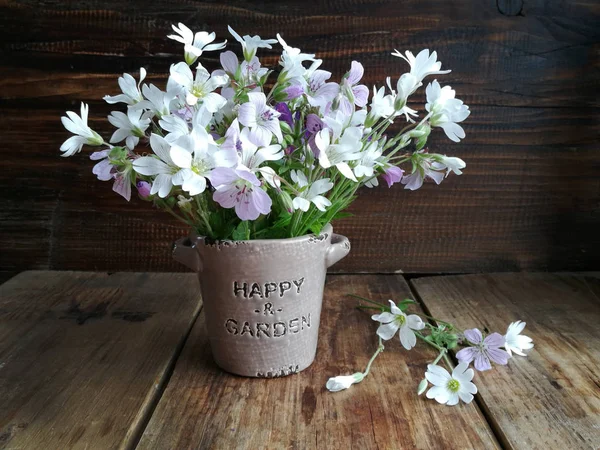 Little wild flowers uchet in a ceramic vase in rustic style