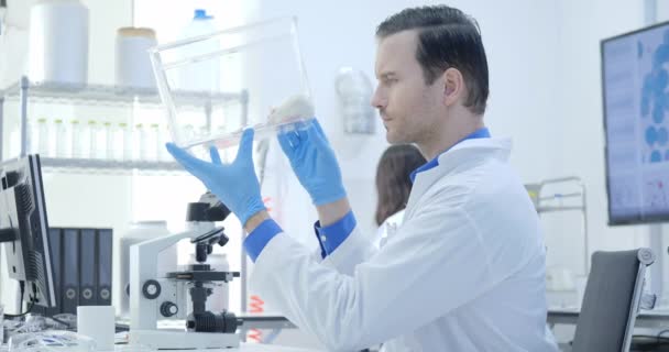 Cientistas de Pesquisa Médica Olhando para Laboratório Rato em uma gaiola. Laboratório brilhante e moderno — Vídeo de Stock