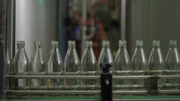 Des bouteilles en verre vides se déplacent le long du convoyeur . — Video