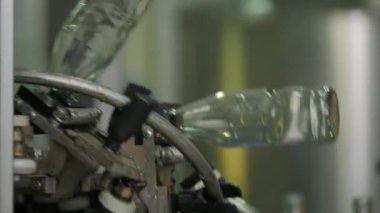 Cam şişelerde sağlıklı Bitkisel içki doldurmak için otomatik konveyör hattı.