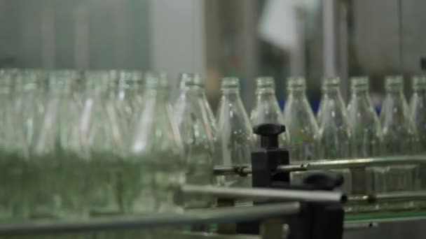 Lot of bottles are carried by auto conveyer. — Stock Video