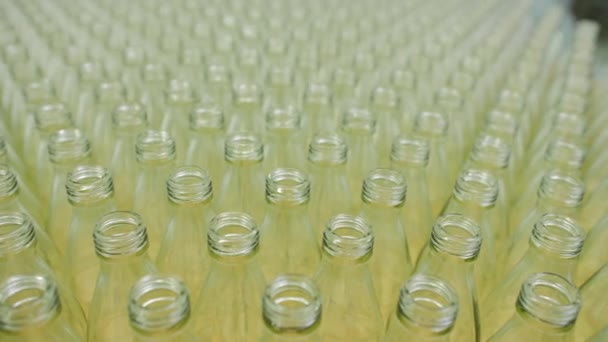 Dolly Shot de bouteilles en verre vides dans une usine, Production d'eau potable et de boissons . — Video