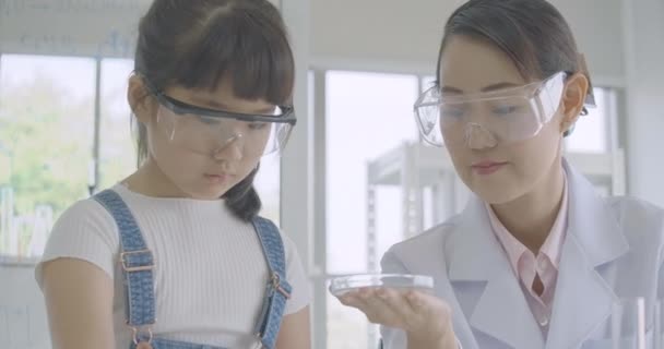 在科学实验实验课堂上学习的亚洲小学生女孩. — 图库视频影像