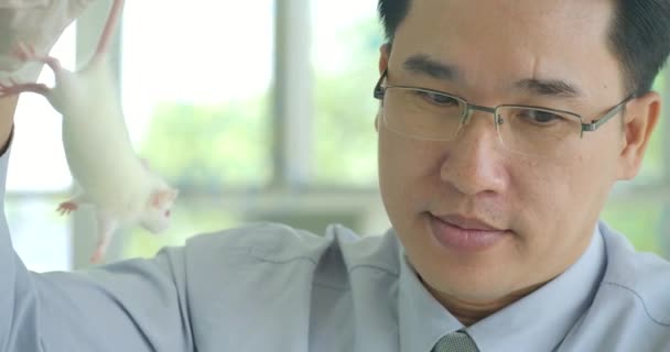 Medical Research Scientist Holds Laboratory Mouse Preparing Syringe Injection Dna — Stock Video