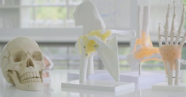 Dolly shot di modelli anatomici come cranio, piede, mano, ginocchio, elsa in laboratorio — Video Stock