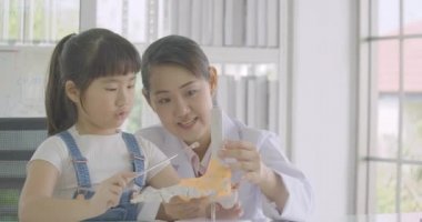 İnsan iskeleti anatomi dersi öğrenmeye küçük Asya öğrenci kız.