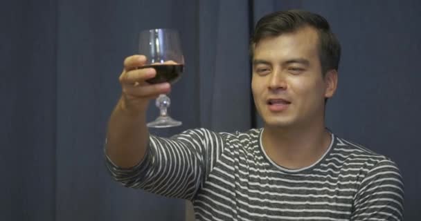 Grupo Amigos Brindando Bebiendo Vino Durante Cena — Vídeo de stock