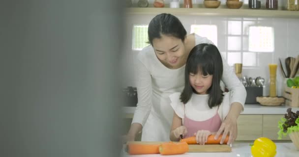 Sonriendo madre embarazada y su hija disfrutan preparando una cena saludable en la cocina juntos . — Vídeo de stock