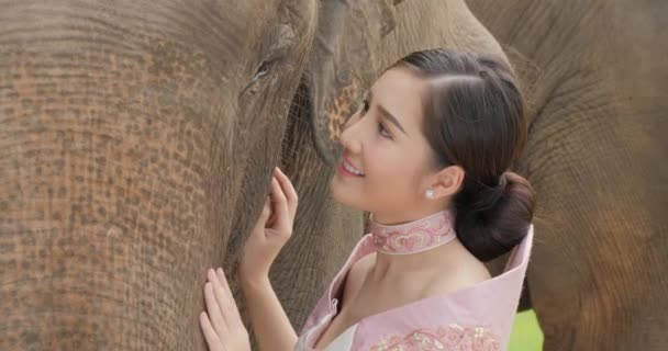 Tenderness di giovane attraente donna asiatica in costume tradizionale con elefante . — Video Stock