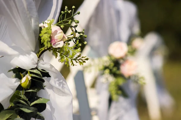 Decorações Flores Cadeiras Para Convidados Uma Cerimônia Casamento Livre — Fotografia de Stock