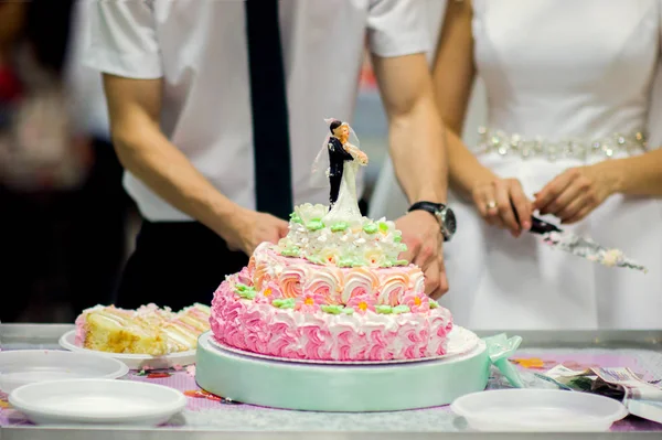 Para Małżeńska Tnie Różowy Tort Weselny Dla Gości Swoje Przyjęcie — Zdjęcie stockowe