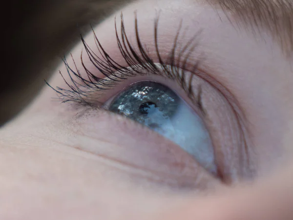 Zbliżenie Niebieski Oczy Długie Rzęsy Zdrowe Oczy Dobrego Widzenia Koncepcji Obraz Stockowy