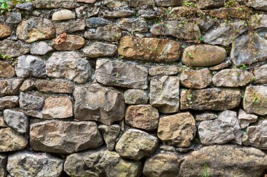 Yosun ve bitki örtüsü (moss, eğrelti otları, çim) kuzeye bakan ile eski taş duvar