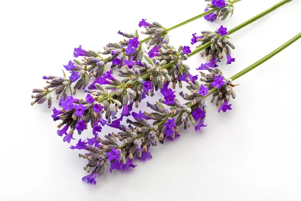 Bouquet of flowers and lavender seeds on white background, isolated.