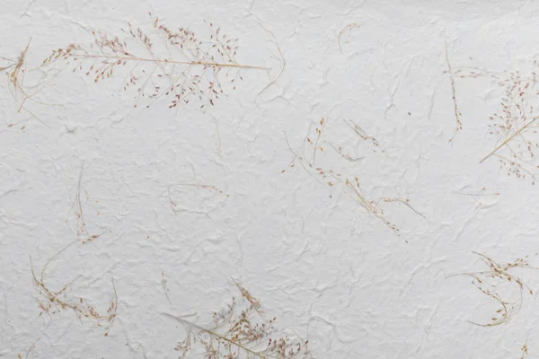 El yapımı kağıt doku geri dönüşümlü malzemeler, ağaç yaprakları ve pamuk lifleri ile. Narin, açık ve vanilya sesleri.