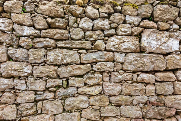 Güzel ve eski taş duvar yosun ve bitki örtüsü (moss, eğrelti otları, çim) kuzeye bakan ile