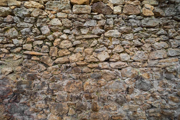 Beautiful and old stone wall with moss and vegetation (moss, ferns, grass) facing north