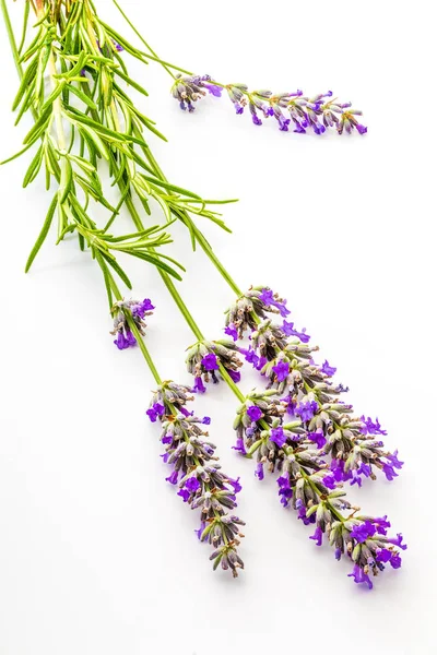 Buket çiçek ve lavanta tohumu ve yeşil biberiye izole beyaz zemin üzerine.