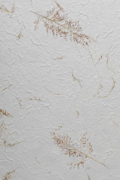 Handmade paper texture with recycled materials, tree leaves and cotton fibers. In delicate, clear and vanilla tones.