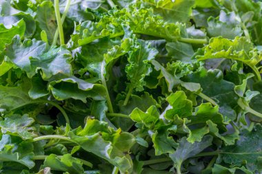 Kale (lahana) tomurcukları. Salata rustik ve sağlıklı en/boy oranı.