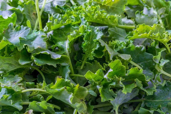 Kale (lahana) tomurcukları. Salata rustik ve sağlıklı en/boy oranı.