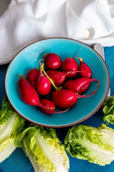 Ecological radishes (red radishes) of intense red color. Close-up from above. Ready for salad with lettuce. In blue dish.