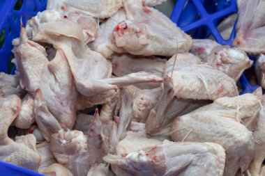 Çiğ tavuk kanadı satış için hazır