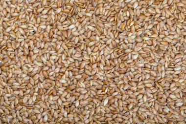 Altın keten tohumu. Mikro besin engeller ve hastalık tedavileri organizma için yararlı. Lif ve besin açısından zengin (manganez, B1 vitamini ve her şeyden önce omega-3 yağ asitleri) için faydalı
