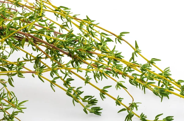 Bouquet de thym frais et cru. Isolé sur fond blanc. Ingrédient de la cuisine méditerranéenne et remède maison curatif. Remède maison guérison, désinfectant, soulage les problèmes respiratoires, avec anti-agi — Photo