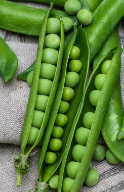 Yeşil, ihale, taze ve çiğ bezelye. Yakın çekim ve üstten görünüm. Rustik görünüm.